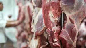 La carne sube 20% en lo que va del año y ya cuesta hasta $28 mil el kilo La carne sube 20% en lo que va del año y ya cuesta hasta $28 mil el kilo imagen-3