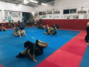 Iguazú: dictaron una clase de defensa personal gratuita por el Día de la Mujer imagen-3