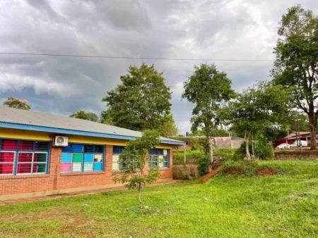 Tras la seguidilla de actos de vandalismo piden a cada iguazuense la donación de un ladrillo imagen-7