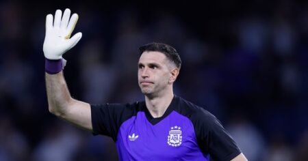 Dibu, la voz de la conciencia Dibu, la voz de la conciencia imagen-8