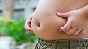 Día Mundial de la Obesidad: advierten que es una enfermedad crónica y llaman a generar conciencia sobre la alimentación Día Mundial de la Obesidad: advierten que es una enfermedad crónica y llaman a generar conciencia sobre la alimentación imagen-1