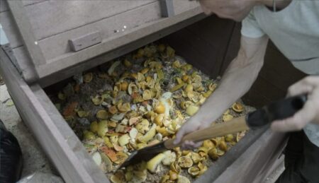 Lanzan EcoRed Misiones: una plataforma para impulsar el compostaje en la provincia Lanzan EcoRed Misiones: una plataforma para impulsar el compostaje en la provincia imagen-8