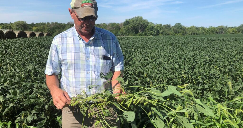 Ahora, «ayuda» militar» para los farmers Ahora, "ayuda" militar" para los farmers imagen-98