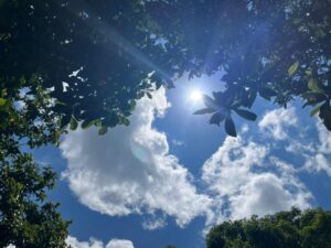 Fin de semana con tiempo estable en Misiones: mañanas frescas y tardes calurosas Fin de semana con tiempo estable en Misiones: mañanas frescas y tardes calurosas imagen-72