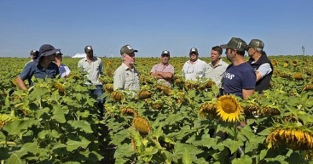 Talentos para el agro: qué buscan las empresas y qué esperan los jóvenes imagen-100