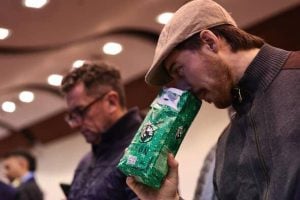 A ciegas y sin logos: se realizará un certamen internacional de yerba mate que busca valorizar las características del producto imagen-5