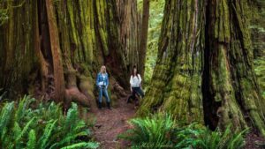 Este mapa te permite ver de un vistazo dónde se rodaron los lugares ficticios que hemos visto en las películas imagen-121