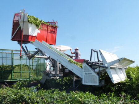 Expo Agroindustrial Oberá: empresa expondrá tecnología de precisión para la yerba mate y té imagen-12