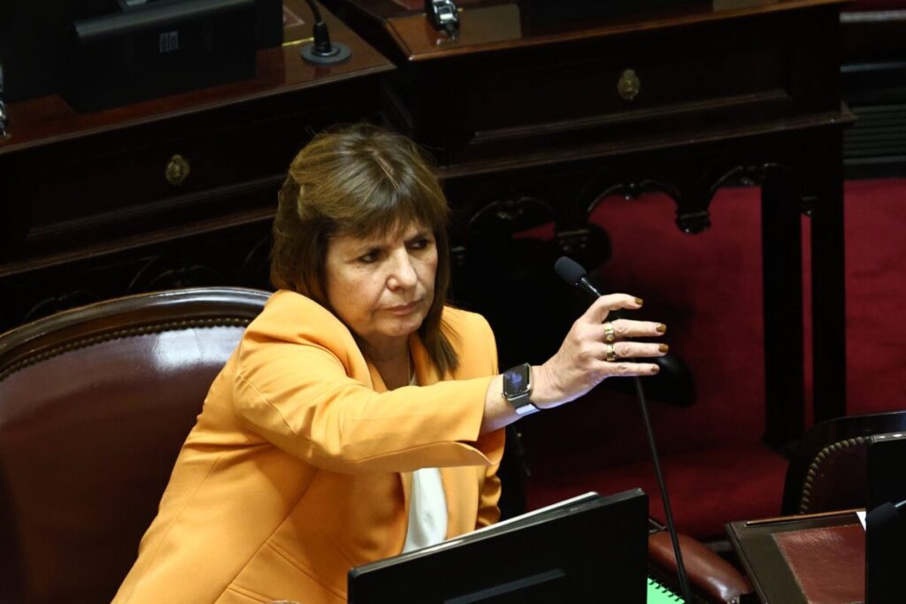 La reacción de Patricia Bullrich al lanzamiento de Artemis II: “La Argentina, siempre y en todos lados” imagen-100