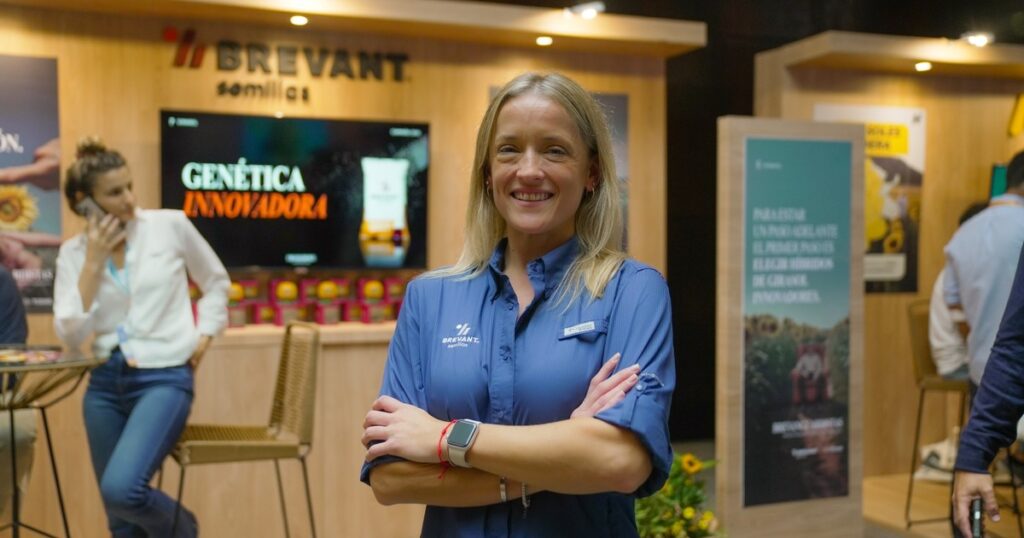 La marca que refuerza la apuesta en girasol lanzando dos híbridos con genética renovada imagen-96