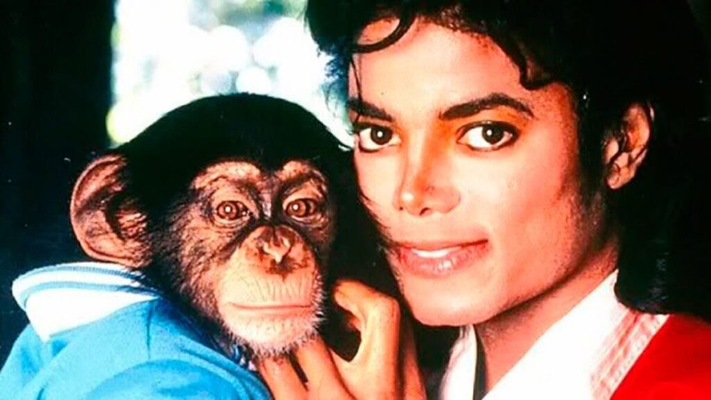 Qué fue de Bubbles, el chimpancé de Michael Jackson que acabó sacando de quicio al mismísimo Freddie Mercury imagen-5