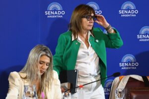 Senado: polémica entre libertarios y kirchneristas por el proyecto de inviolabilidad de la propiedad privada imagen-3