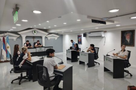 El Concejo Deliberante Estudiantil de Puerto Iguazú inicia su período legislativo 2026 y elegirá a sus autoridades imagen-11