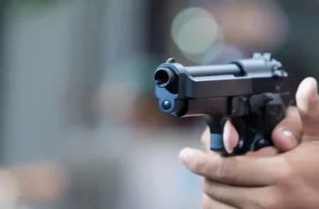 Tenencia de armas: el Senado define la regularización y busca extender el plan de entrega imagen-69