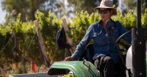 La nueva estrella del vino argentino que convive con Vaca Muerta imagen-3