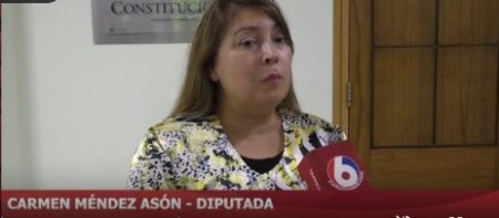 Dicen que la oposición usa proyecto sobre la Ley de Lemas como recurso de propaganda política en campaña imagen-14