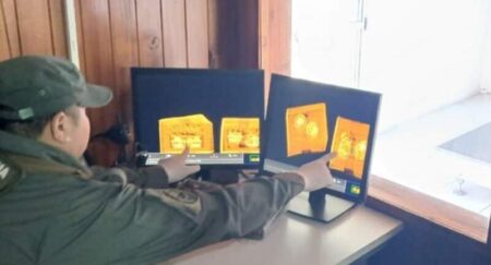 Entre Ríos: rescatan seis crías de Boa constrictora transportadas en una encomienda que partió de Garupá imagen-13