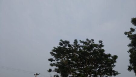 Jueves inestable en Misiones: lluvias débiles por la mañana y mejora hacia la tarde imagen-6