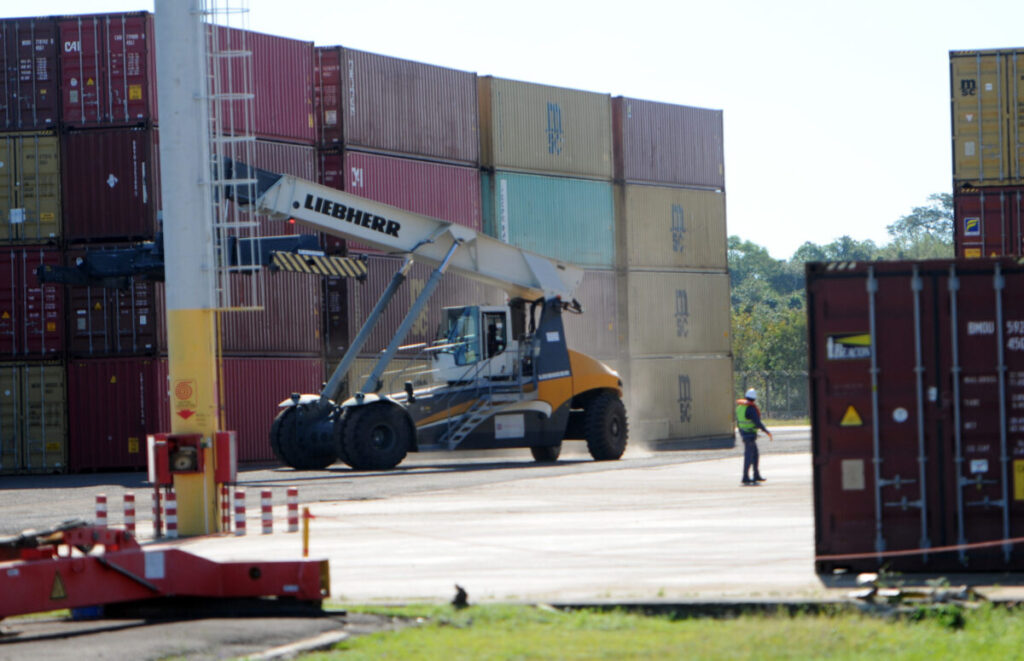 Capacitarán sobre estrategias de escala para acceder a nuevos mercados en la Expo Agroindustrial de Oberá imagen-5