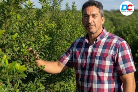 El presidente del INYM, Rodrigo Correa, negó una crisis en la yerba y defendió la desregulación imagen-17