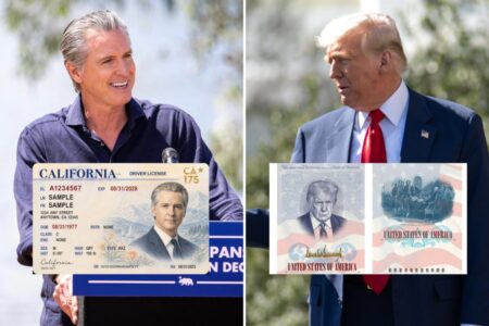 Newsom se burla de Trump y anuncia una licencia de conducir de California con su foto: “La mejor de la historia” imagen-8