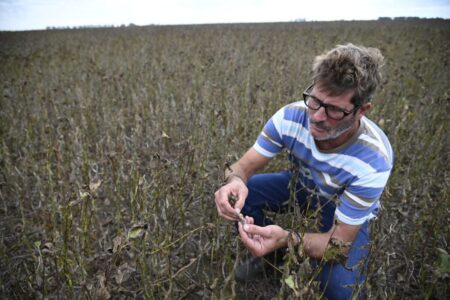 “Los días no acompañan”: las lluvias no dan tregua y los productores no pueden acelerar la cosecha de soja imagen-6