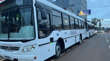 Eldorado da un salto histórico en transporte urbano: incorporan 10 colectivos 0 km imagen-6