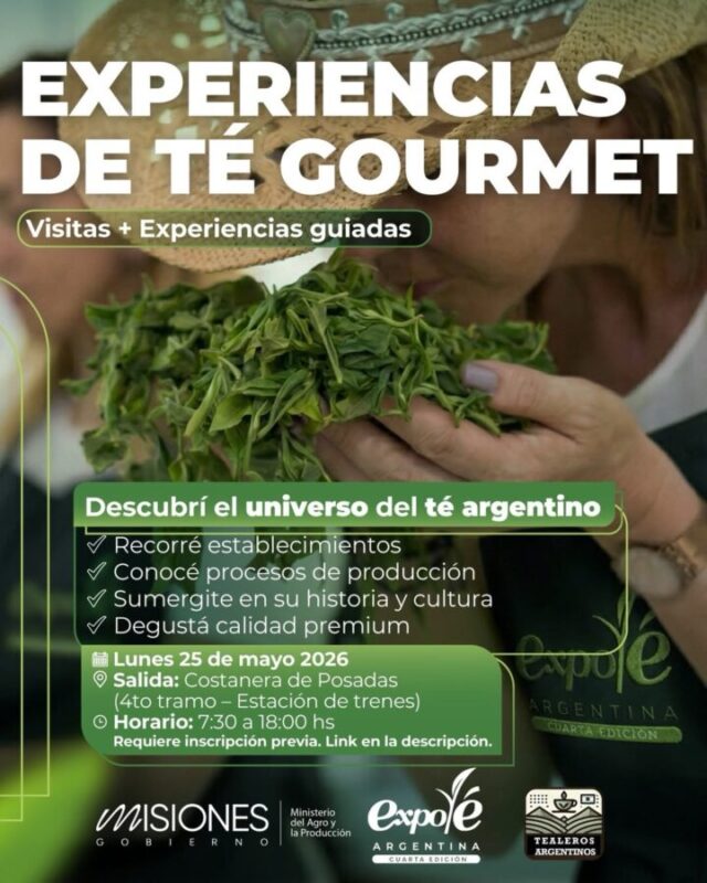 25 Mayo 2026 25 Mayo 2026 imagen-4