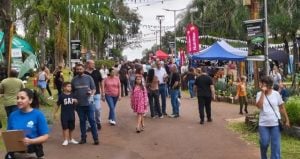 Con gran éxito de convocatoria, finalizó la primera Exposición Agroindustrial de Oberá imagen-8