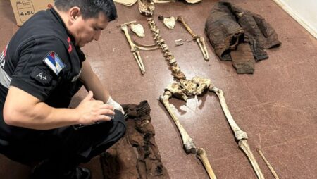 Hallaron restos humanos en Puerto Esperanza y buscan identificar a la víctima imagen-20