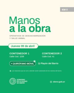 Descacharrización y salud animal durante el Operativo “Manos a la Obra” en el Barrio Km 0 imagen-72