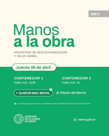 Descacharrización y salud animal durante el Operativo “Manos a la Obra” en el Barrio Km 0 imagen-70
