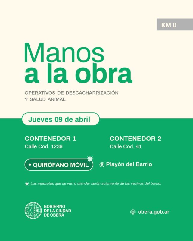 Descacharrización y salud animal durante el Operativo “Manos a la Obra” en el Barrio Km 0 Descacharrización y salud animal durante el Operativo “Manos a la Obra” en el Barrio Km 0 imagen-5