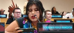 Joven Mbya Guaraní llevó a Nueva York el reclamo por territorio, agua y derechos indígenas en Argentina imagen-8