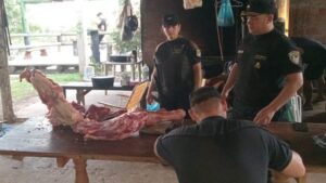 Lo atraparon tras robar y carnear una vaca: llevaba los restos en el auto imagen-1