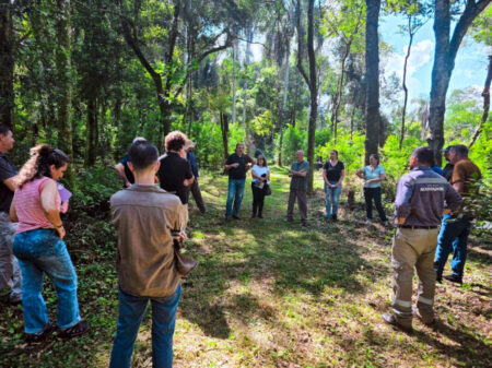 La producción orgánica en Misiones supera las 4.600 hectáreas certificadas y creció 28% en exportaciones imagen-18