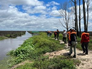 Misiones Maravilla | Con minibús completo, viajó el grupo este sábado 25 desde Posadas rumbo a los Esteros del Iberá en una salida única rodeada de carpinchos imagen-12
