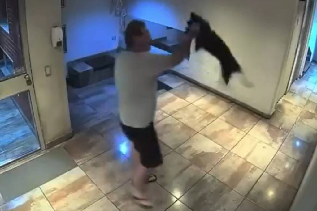 Video: salió con un perro al hall del edificio en Palermo y lo revoleó contra el piso imagen-5
