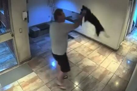 Video: salió con un perro al hall del edificio en Palermo y lo revoleó contra el piso imagen-7