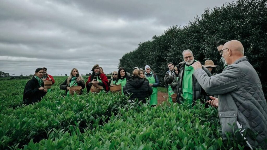 La Expo Té 2026 suma nuevas modalidades de visitas guiadas a establecimientos de té gourmet imagen-72