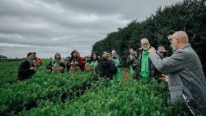 La Expo Té 2026 suma nuevas modalidades de visitas guiadas a establecimientos de té gourmet imagen-74