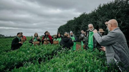 La Expo Té 2026 suma nuevas modalidades de visitas guiadas a establecimientos de té gourmet imagen-73