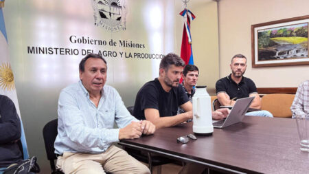 Ante la ausencia del INYM, el Gobierno de la provincia reunió a todos los actores de la cadena yerbatera para construir una propuesta de precios de referencia imagen-120