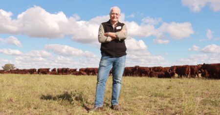 En una zona semiárida tiene el rodeo más grande del país de una raza emblemática y sigue perfeccionando la calidad de la carne imagen-6