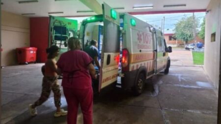 Un niño de 7 años fue atacado por perros y sufrió heridas de consideración imagen-6