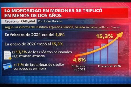 Endeudarse para vivir: cuando la morosidad deja de ser un dato y se convierte en síntoma imagen-28