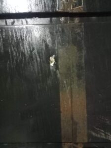 Posadas: la Policía investiga un ataque armado contra una vivienda en el barrio Aeroclub Posadas: la Policía investiga un ataque armado contra una vivienda en el barrio Aeroclub imagen-1