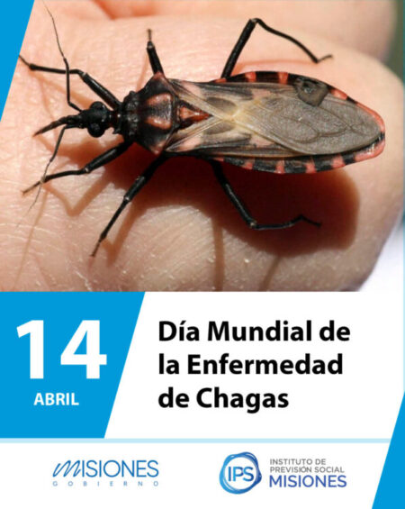 📒🧫14 de abril: Día Mundial de la Enfermedad de Chagas🦠 imagen-15