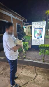 La Policía recuperó a “Jairo”, un bulldog francés que había sido vendido por malvivientes tras extraviarse en Posadas La Policía recuperó a “Jairo”, un bulldog francés que había sido vendido por malvivientes tras extraviarse en Posadas imagen-1