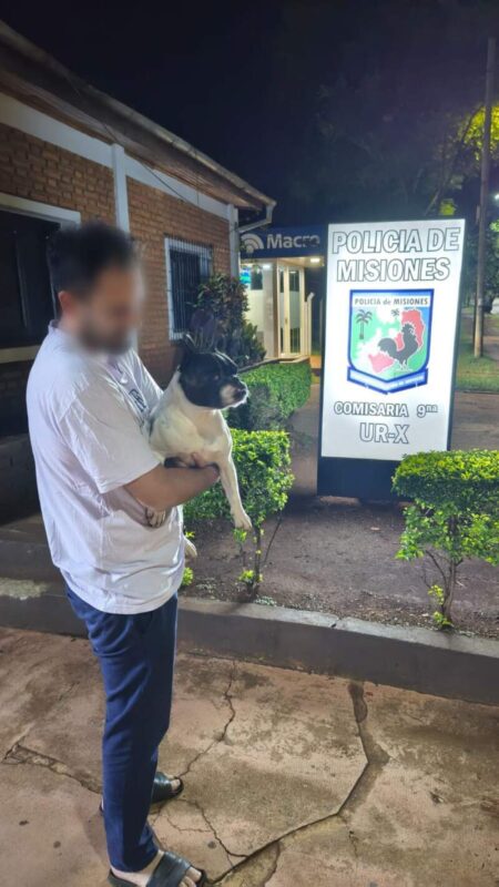 La Policía recuperó a “Jairo”, un bulldog francés que había sido vendido por malvivientes tras extraviarse en Posadas imagen-12